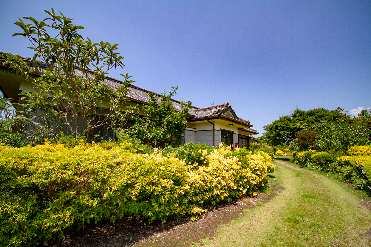 detached 梅北町
