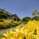 【管理番号374】売買|農地付き(梅北町) 3