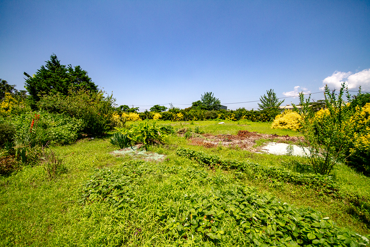 detached 梅北町