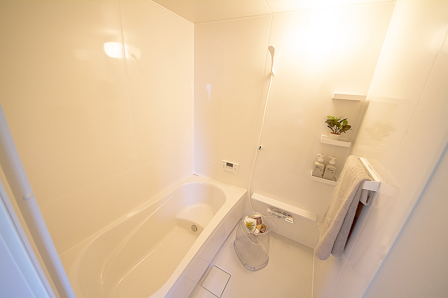 detached 菖蒲原町