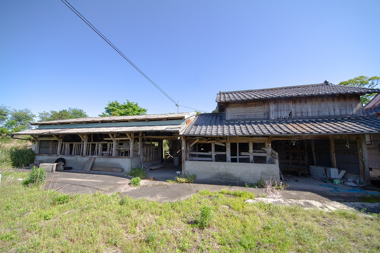 detached 山之口富吉