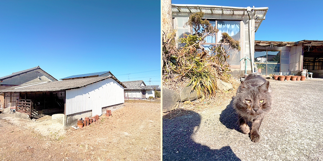 detached 高城町石山